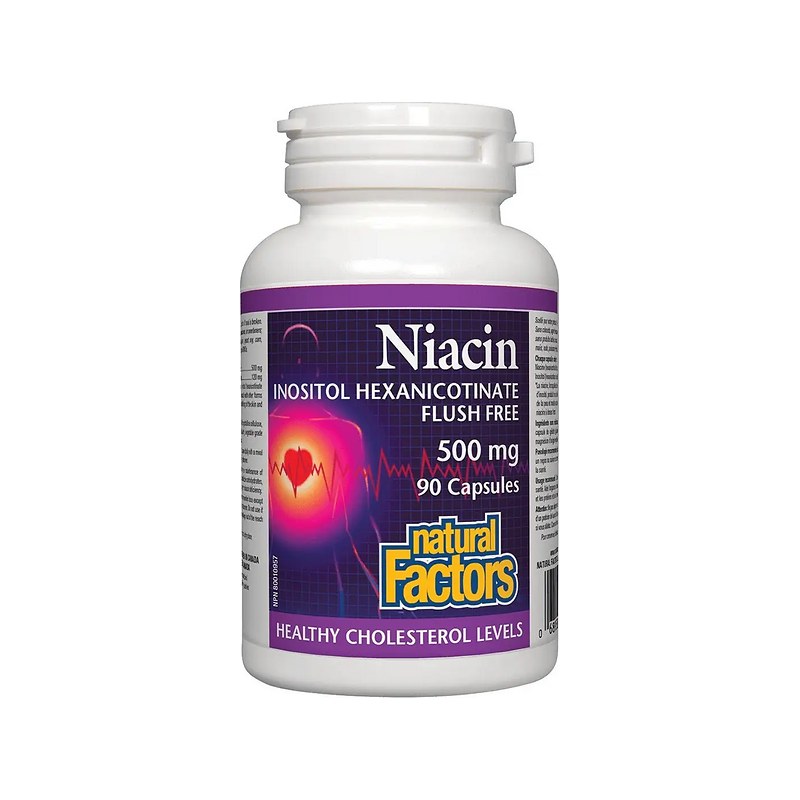 NATURAL FACTORS VITAMIN B3 500MG 90'S(P1)
